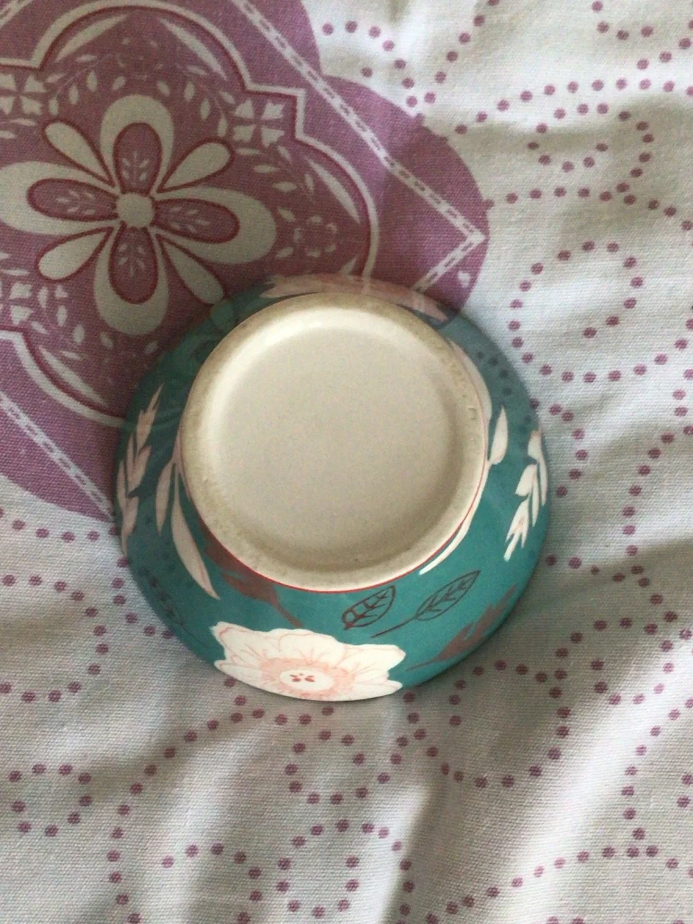 Ceramic Decorative Cat Bowl in Teal with Red Base